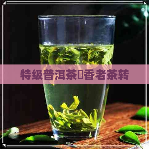 特级普洱茶棗香老茶转