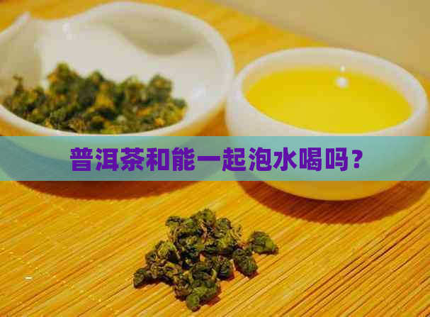 普洱茶和能一起泡水喝吗？