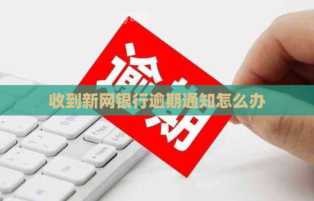 收到新网银行逾期通知怎么办