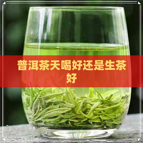 普洱茶天喝好还是生茶好