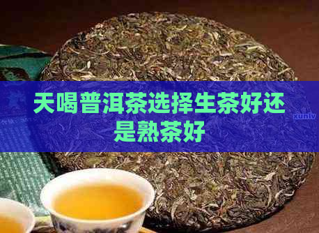 天喝普洱茶选择生茶好还是熟茶好