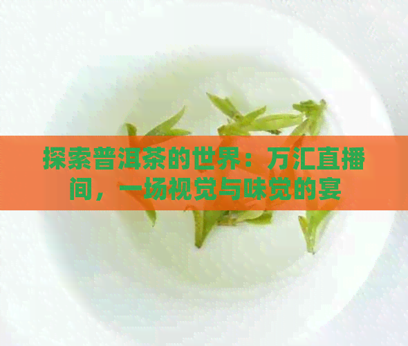 探索普洱茶的世界：万汇直播间，一场视觉与味觉的宴