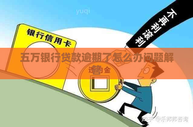 五万银行贷款逾期了怎么办问题解答