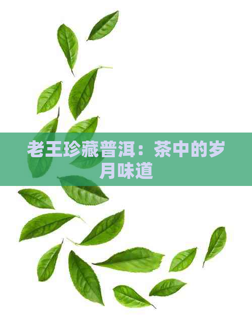 老王珍藏普洱：茶中的岁月味道