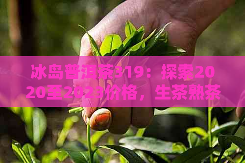 冰岛普洱茶319：探索2020至2023价格，生茶熟茶区别与功效