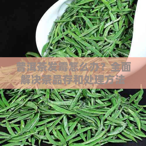 普洱茶发霉怎么办？全面解决茶品存和处理方法