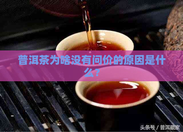 普洱茶为啥没有问价的原因是什么？