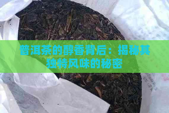 普洱茶的醇香背后：揭秘其独特风味的秘密