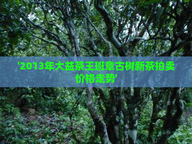 '2013年大益茶王班章古树新茶拍卖价格走势'