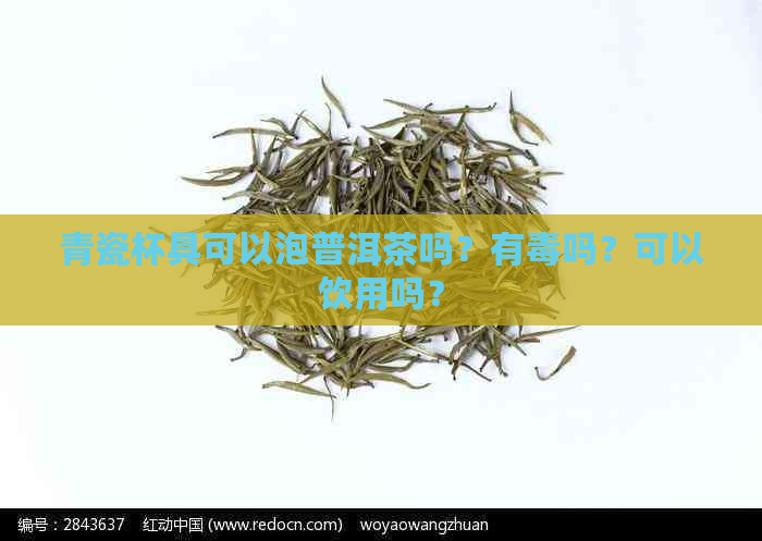 青瓷杯具可以泡普洱茶吗？有吗？可以饮用吗？