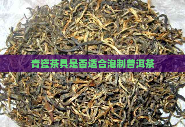 青瓷茶具是否适合泡制普洱茶