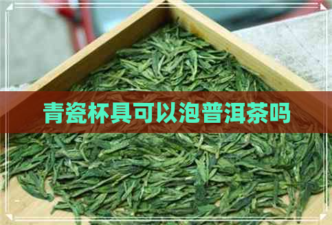 青瓷杯具可以泡普洱茶吗