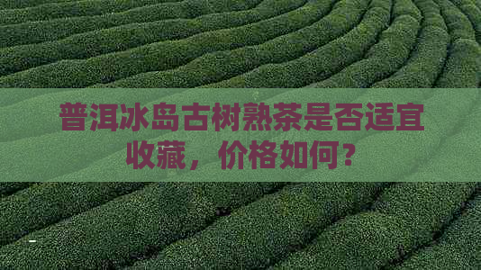 普洱冰岛古树熟茶是否适宜收藏，价格如何？