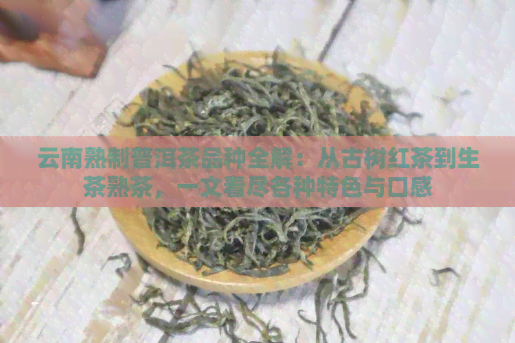 云南熟制普洱茶品种全解：从古树红茶到生茶熟茶，一文看尽各种特色与口感