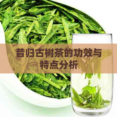 昔归古树茶的功效与特点分析