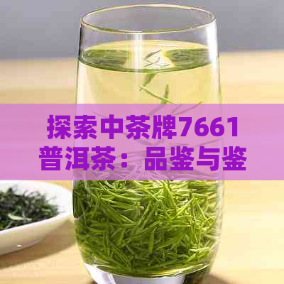 探索中茶牌7661普洱茶：品鉴与鉴指南