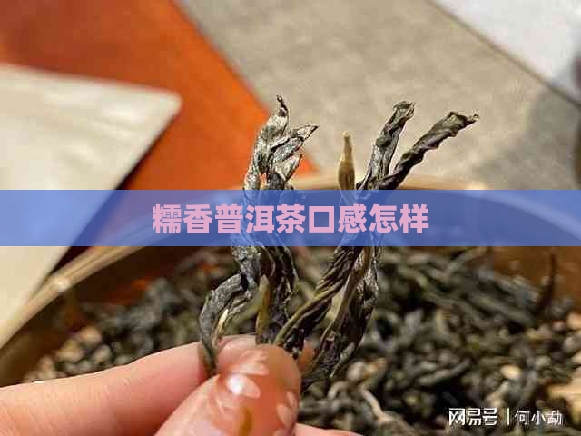 糯香普洱茶口感怎样