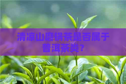 清凉山磨锅茶是否属于普洱茶类？