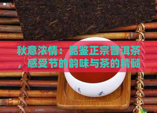 秋意浓情：品鉴正宗普洱茶，感受节的韵味与茶的精髓