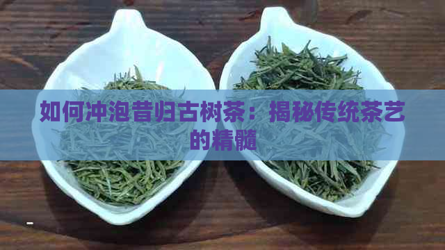 如何冲泡昔归古树茶：揭秘传统茶艺的精髓