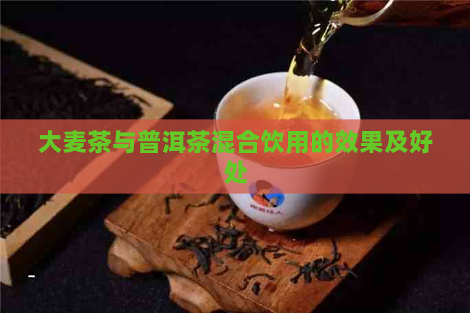 大麦茶与普洱茶混合饮用的效果及好处