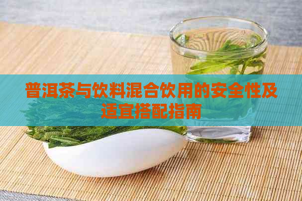 普洱茶与饮料混合饮用的安全性及适宜搭配指南