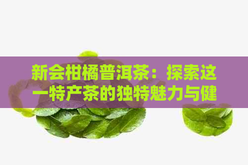 新会柑橘普洱茶：探索这一特产茶的独特魅力与健益处