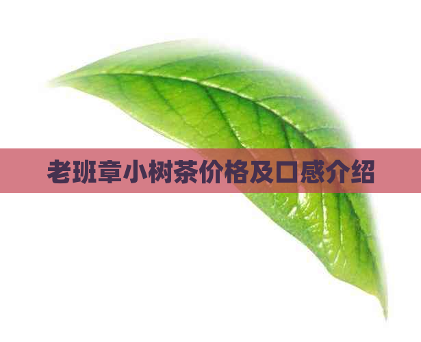 老班章小树茶价格及口感介绍