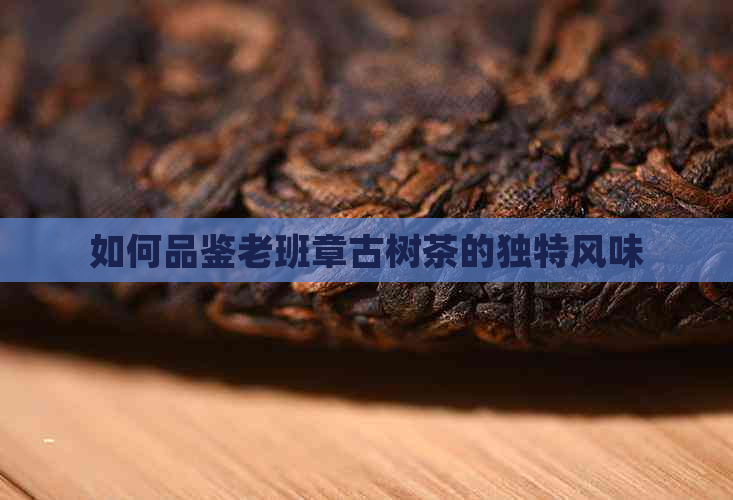 如何品鉴老班章古树茶的独特风味