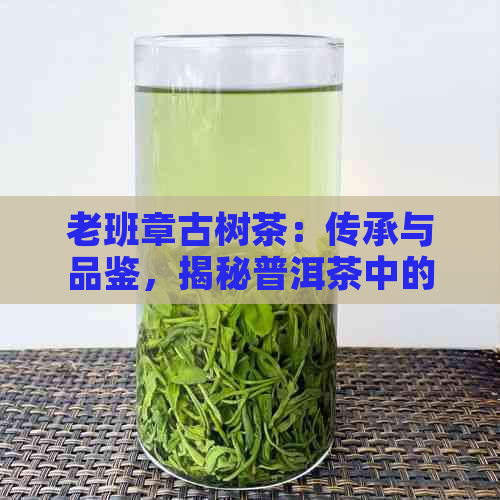 老班章古树茶：传承与品鉴，揭秘普洱茶中的传奇珍品