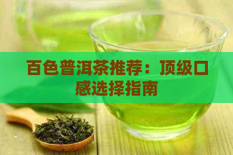 百色普洱茶推荐：顶级口感选择指南