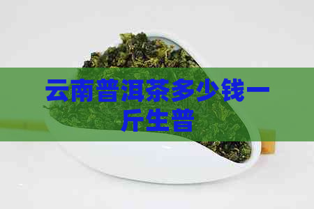 云南普洱茶多少钱一斤生普