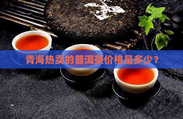 青海热卖的普洱茶价格是多少？