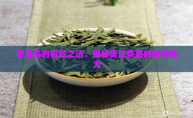 普洱茶的极致之选：揭秘美成茶品的独特魅力