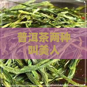 普洱茶两种叫美人