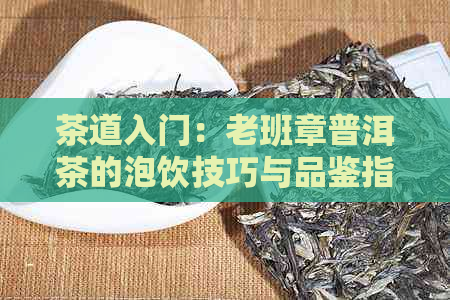 茶道入门：老班章普洱茶的泡饮技巧与品鉴指南