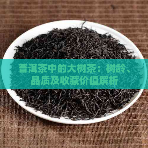 普洱茶中的大树茶：树龄、品质及收藏价值解析