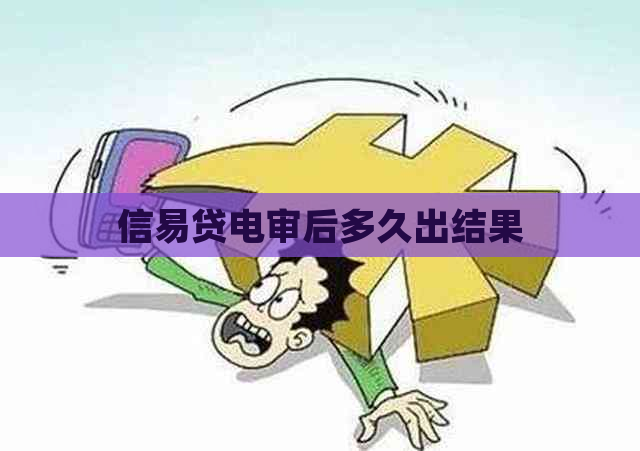 信易贷电审后多久出结果