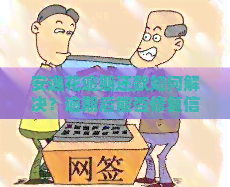 安逸花逾期还款如何解决？逾期后能否修复信用记录？