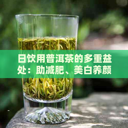 日饮用普洱茶的多重益处：助减肥、美白养颜，为女性带来全面的健与美丽