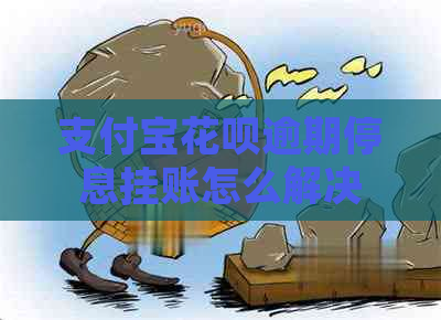 支付宝花呗逾期停息挂账怎么解决