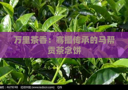 万里茶香：骞撮传承的马帮贡茶念饼