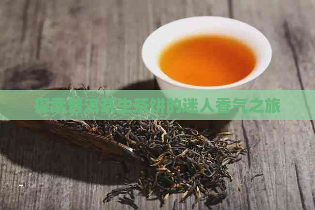 探索普洱茶生茶饼的迷人香气之旅