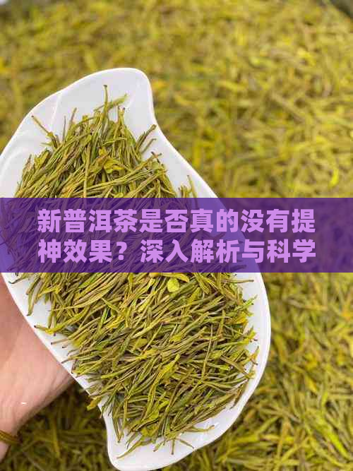 新普洱茶是否真的没有提神效果？深入解析与科学验证