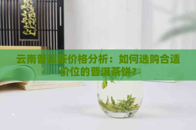 云南普洱茶价格分析：如何选购合适价位的普洱茶饼？