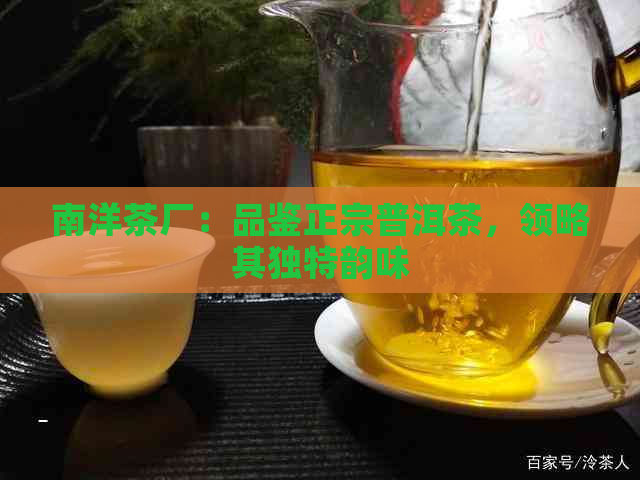 南洋茶厂：品鉴正宗普洱茶，领略其独特韵味