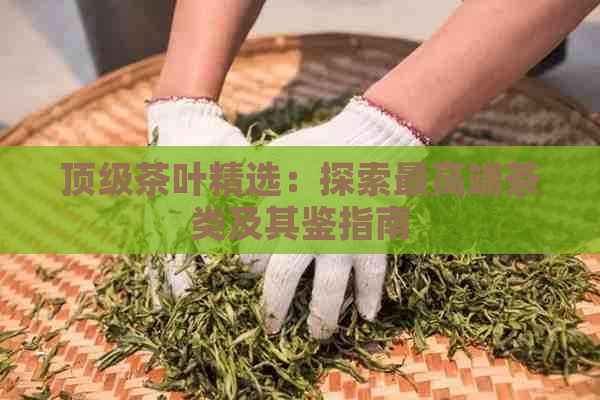 顶级茶叶精选：探索更高端茶类及其鉴指南