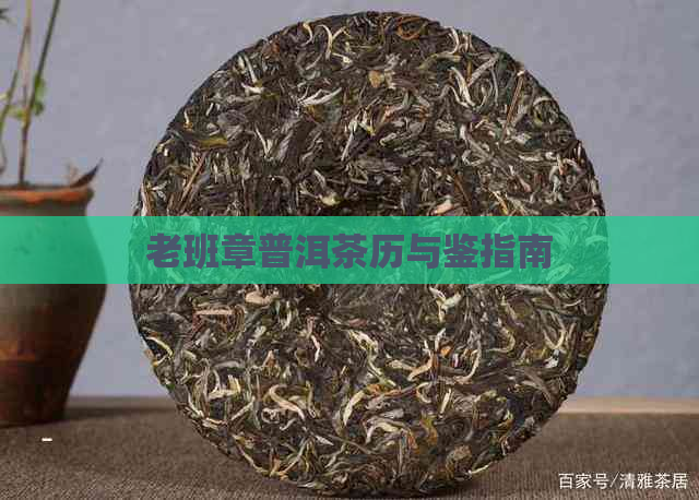 老班章普洱茶历与鉴指南