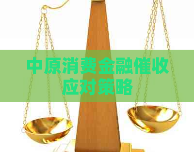 中原消费金融应对策略