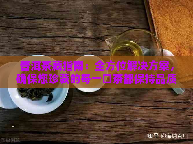 普洱茶藏指南：全方位解决方案，确保您珍藏的每一口茶都保持品质